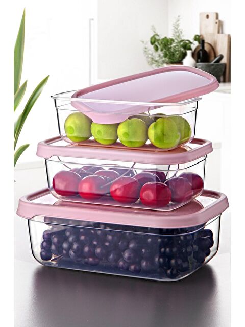 Nandy Home 3'lü Set Embox Dikdörtgen Erzak, Gıda Saklama Kabı PUDRA - S000013180-23173