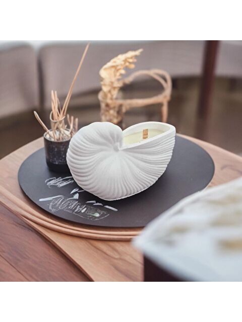 Havalı Tasarım Deniz Kabuğu Mum - S000210760-20063