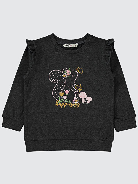 Civil Girls Kız Çocuk Sweatshirt 2-5 Yaş Antrasit - S000287124-29666