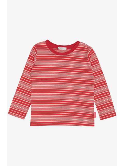 Breeze Kız Çocuk Uzun Kollu Tişört Çizgili Narçiçeği (3-6 Yaş) - S000080483-20048