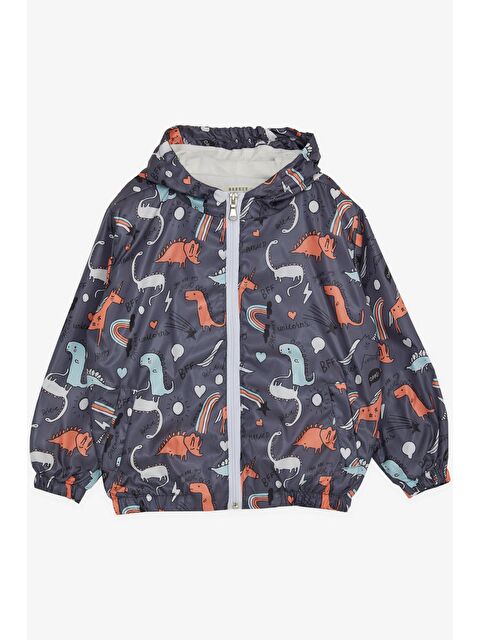 Breeze Erkek Çocuk Yağmurluk Dinozor Desenli Füme (1-3 Yaş) - S000103954-29351