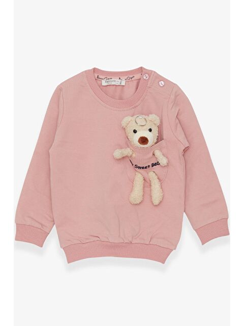 Breeze Kız Bebek Sweatshirt Ayıcık Aksesuarlı Somon (1.5-2 Yaş) - S000070601-24085