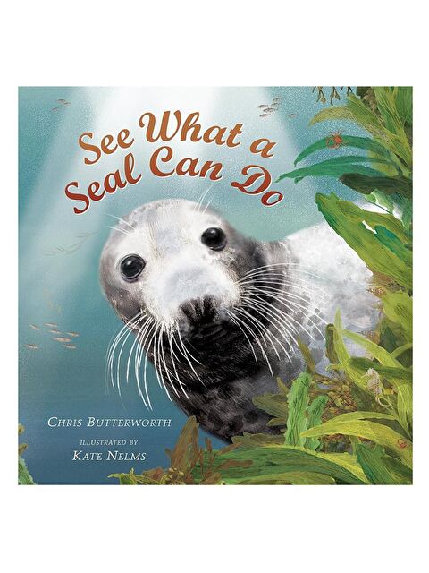 Walker Books See What a Seal Can Do - S000212130-23173