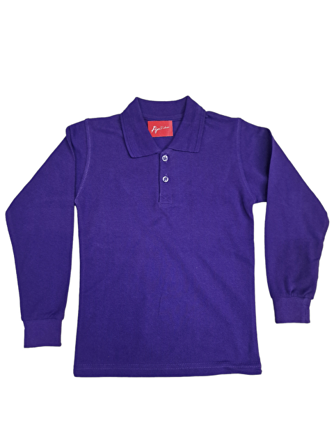 ajn Kids Polo Yaka Basic Uzun Kollu Erkek Çocuk Tişört - S000137756-20042