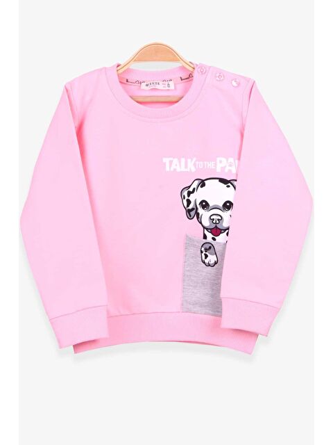 Breeze Kız Bebek Sweatshirt Köpek Baskılı Pudra (2 Yaş) - S000070628-23490