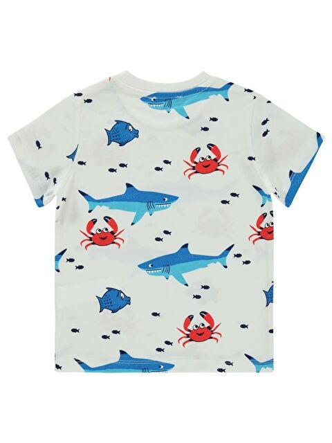 Civil Boys Yengeç Ve Balıklar Emprimeli 2-5 Yaş Tişört - S000359602-19965