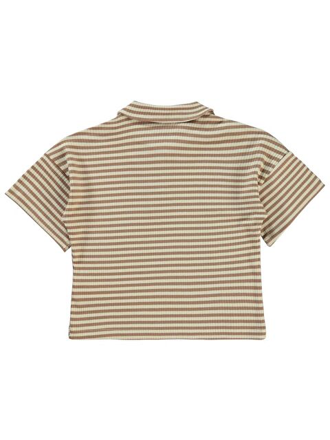 Civil Boys Çizgili Yakalı 2-5 Yaş Tişört - S000198494-19413