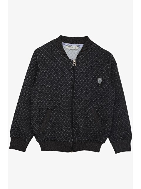 Breeze Erkek Çocuk Hırka Fermuarlı Arma Antrasit (2-6 Yaş) - S000081140-29666