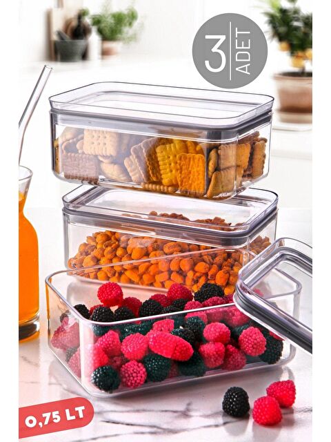 Nandy Home 0,75 Lt Dikdörtgen Contalı, Sızdırmaz Kapaklı Saklama & Erzak Kabı 3 Adet ŞEFFAF - S000013160-23173