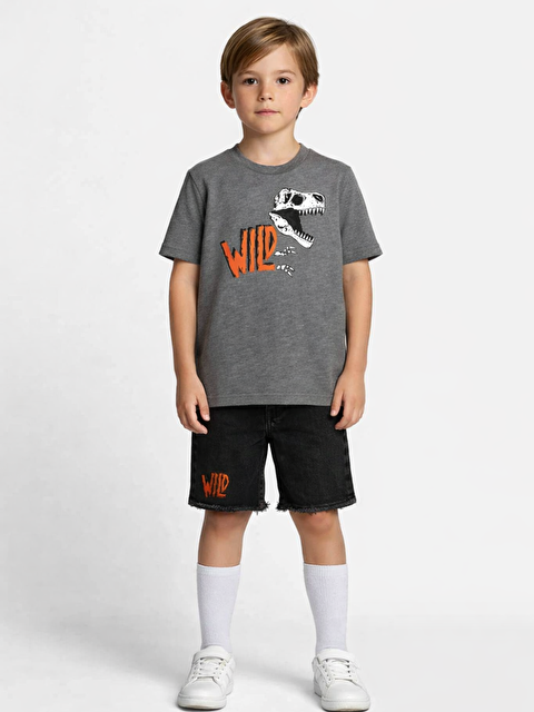 Casabony Wild Dino Gri Denim Şort + Tişört Takım - S000144537-29666