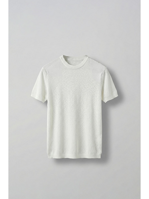 Abluka Online Erkek Regular Fit Bisiklet Yaka Esnek Triko T-Shirt Ekru - S000144610-19965