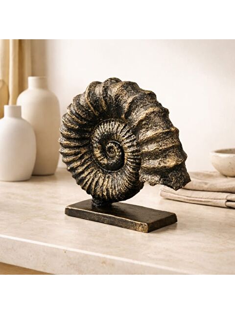 Evidea Deco Deniz Kabuğu Dekor - Gold / Siyah - 30 cm - S000393325-37201