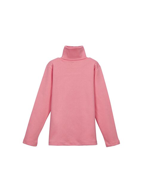 Lovetti Somon Basic Kışlık Tam Balıkçı Yaka Uzun Kollu Kız Çocuk Tişört - S000053598-24085