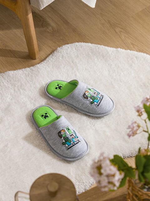 LCW STEPS Papuče sa Minecraft printom za kuću - S65766Z8-G6V