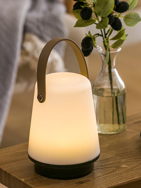 LCW HOME Taşınabilir Dekoratif Led Işık 23 cm - S6CA63Z8-M0T