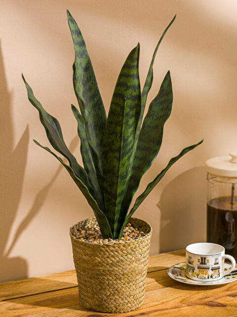 LCW HOME Dekoratif Yapay Çiçek 50 cm