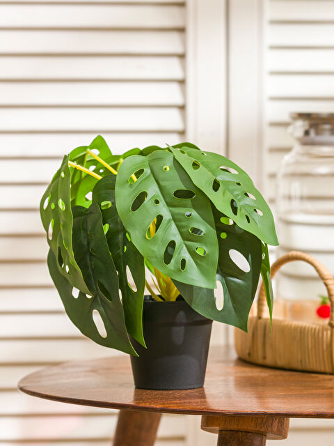 LCW HOME گوڵی دەستکردی پۆتکراو 22 cm - S6CG67Z8-M0T