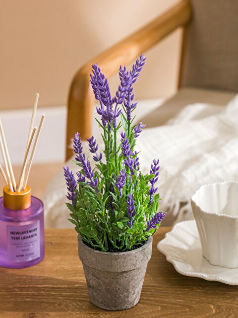 LCW HOME Dekoratif Saksılı Yapay Çiçek 27 cm - S6CH18Z8-M0T