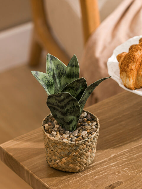 LCW HOME Decorative Artificial Flower in Rattan Pot 18 cm - S6DP22Z8-M0T