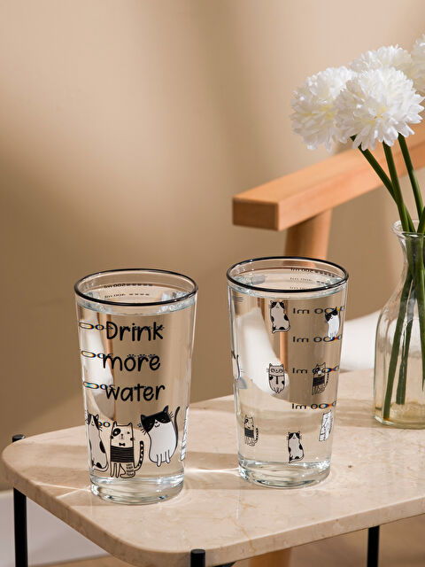 LCW HOME Baskılı Cam Su Bardağı 2'li 570 ml - S6IF46Z8-LQJ