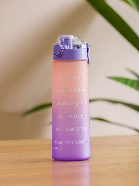 LCW ACCESSORIES Yazı Baskılı Suluk 730 ml - W3AQ07Z8-M0T