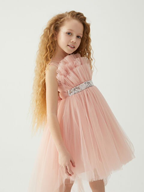 Daisy Girl Bisiklet Yaka Pul İşlemeli Tül Detaylı Kız Çocuk Elbise - S2O827Z4-1A5