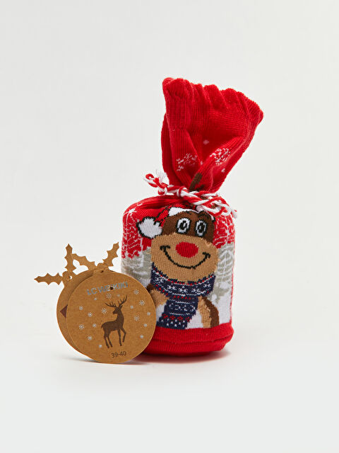 LCW DREAM Yılbaşı Temalı Kadın Soket Çorap - W2EG05Z8-J4N