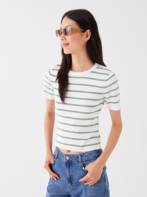 LCW Vision Bisiklet Yaka Çizgili Kısa Kollu Kadın Triko Kazak - W32749Z8-GBN