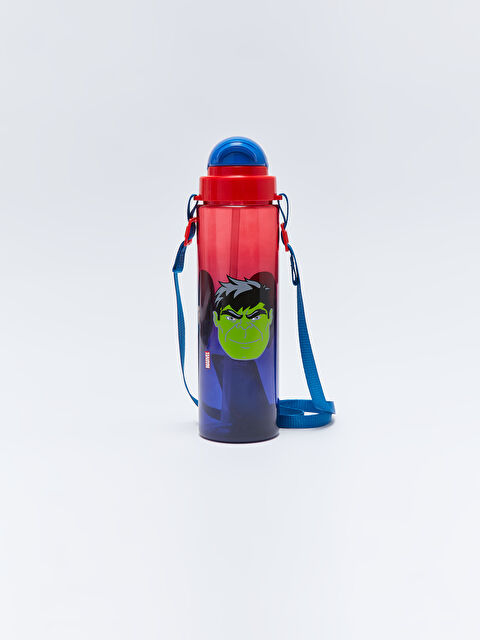 LCW ACCESSORIES Marvel Baskılı Sınav Kahramanı Suluk - W37581Z4-M0T