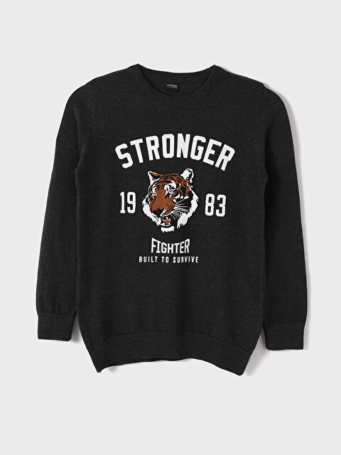 LCW Kids كنزة صوفية برقبة دائرية وكم طويل مطبوعة للأولاد - W3FQ47Z4-DW2