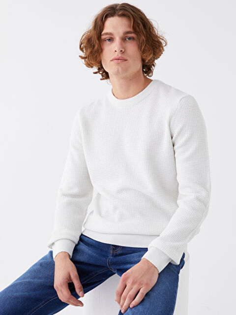 LCW Vision Bisiklet Yaka Erkek Triko Kazak - W3HT85Z8-R9J