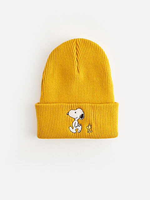 LCW ACCESSORIES Snoopy Nakışlı Erkek Çocuk Triko Bere - W3JE37Z4-G0J