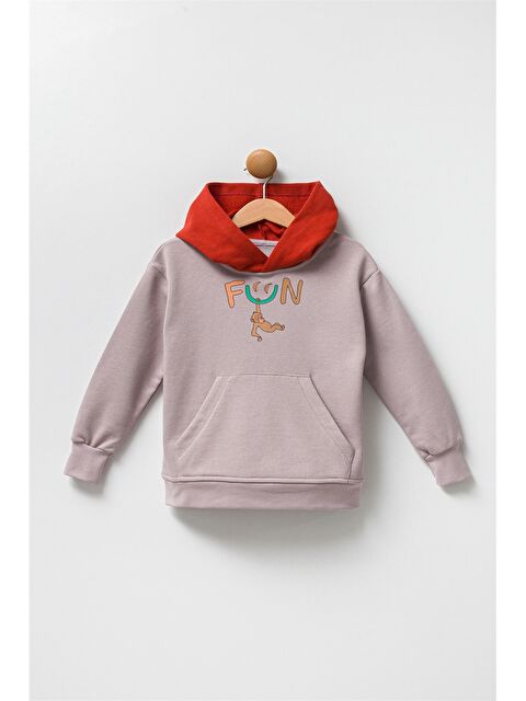 Pija Pija Baskılı Uzun Kollu Erkek Bebek Hoodie - W3K061Z1-CV5