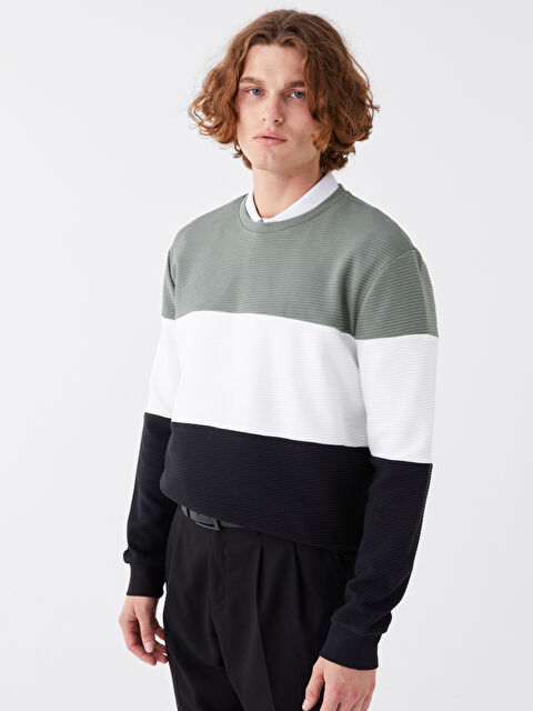 LCW Vision Свитшот с круглым вырезом, длинным рукавом и цветовым блоком для мужчин - S40012Z8-VE2