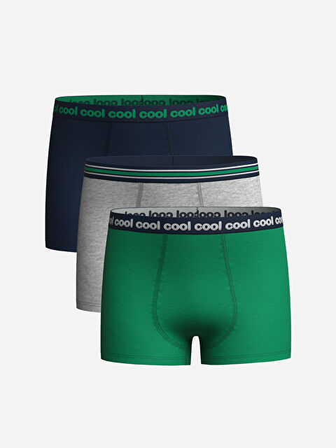 LCW Kids Baskılı Erkek Çocuk Boxer 3'lü - S42521Z4-GQ5