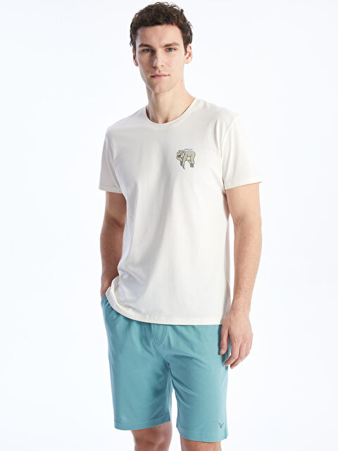 LC WAIKIKI Пижама шалбары - S44365Z8-GDX