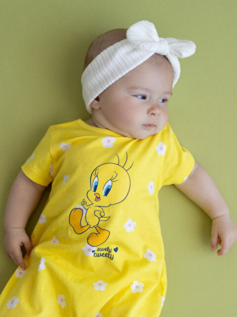 LCW ACCESSORIES Basic Kız Bebek Saç Bandı 2'li - S4AL99Z1-SQN