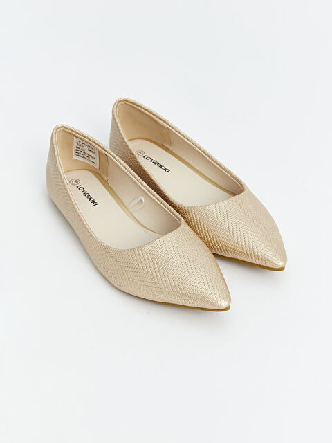 LCW STEPS Балетки із загостреним носком для жінок - S4BL18Z8-GHW