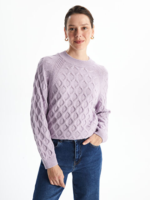 LCWAIKIKI Basic Bisiklet Yaka Kendinden Desenli Uzun Kollu Kadın Triko Kazak - W40253Z8-FNN