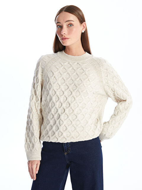 LCWAIKIKI Basic Bisiklet Yaka Kendinden Desenli Uzun Kollu Kadın Triko Kazak - W40253Z8-MXN