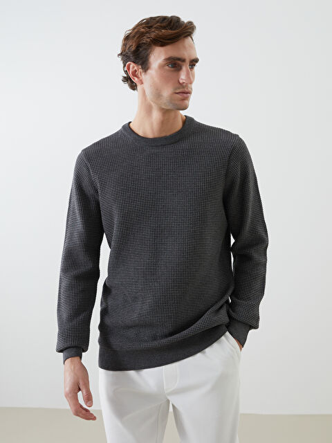 LCW Vision Bisiklet Yaka Erkek Triko Kazak - W40733Z8-LAL