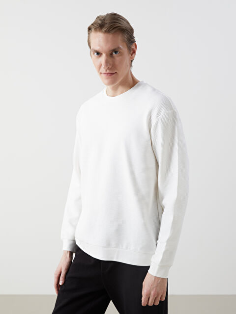 LCW Vision Crew Neck Long Sleeve Men's Sweatshirt - W40952Z8-R9J