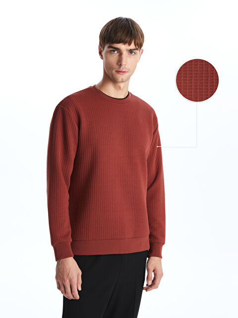 LCW Vision Bisiklet Yaka Uzun Kollu Erkek Dokulu Sweatshirt - W43461Z8-YA9