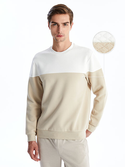 LCW Vision Bisiklet Yaka Uzun Kollu Renk Bloklu Erkek Sweatshirt - W43504Z8-HZZ