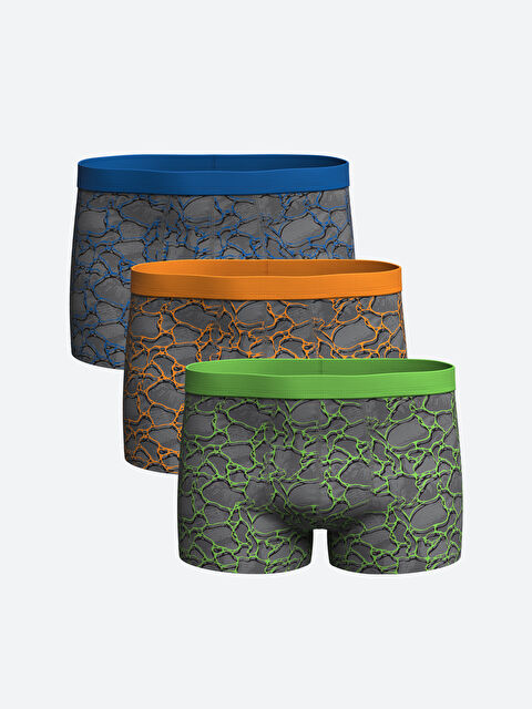 LC WAIKIKI Standart Kalıp Pamuklu Esnek Erkek Boxer 3'lü - W46945Z8-LRR