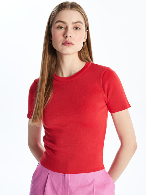 LCW Vision Bisiklet Yaka Düz Kısa Kollu Kadın Triko Kazak - W47920Z8-HPM