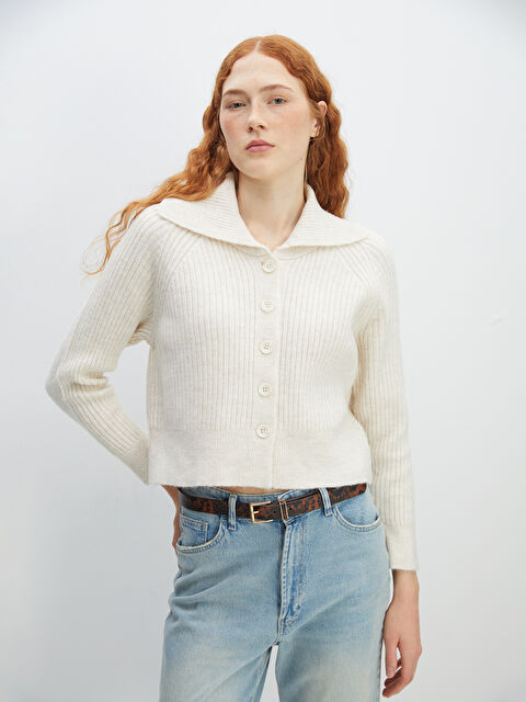 LCW Vision Ceket Yaka Dokulu Kadın Triko Hırka - W48195Z8-E4S