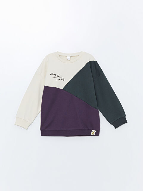 LCW Kids Bisiklet Yaka Baskılı Erkek Çocuk Sweatshirt - W48321Z1-QVK