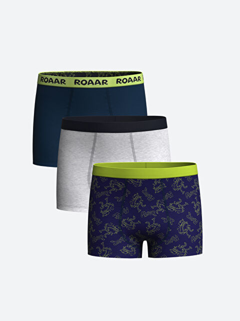 LCW Kids Baskılı Erkek Çocuk Boxer 3'lü - W49441Z4-LSJ