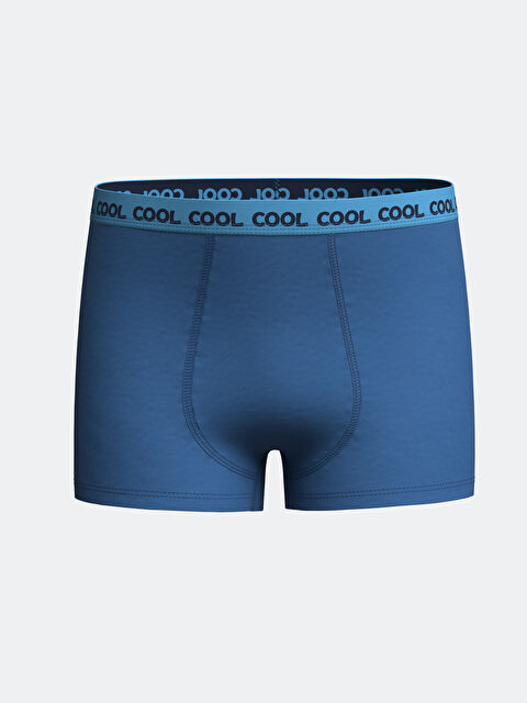 LCW Kids Baskılı Erkek Çocuk Boxer - W49456Z4-GEZ